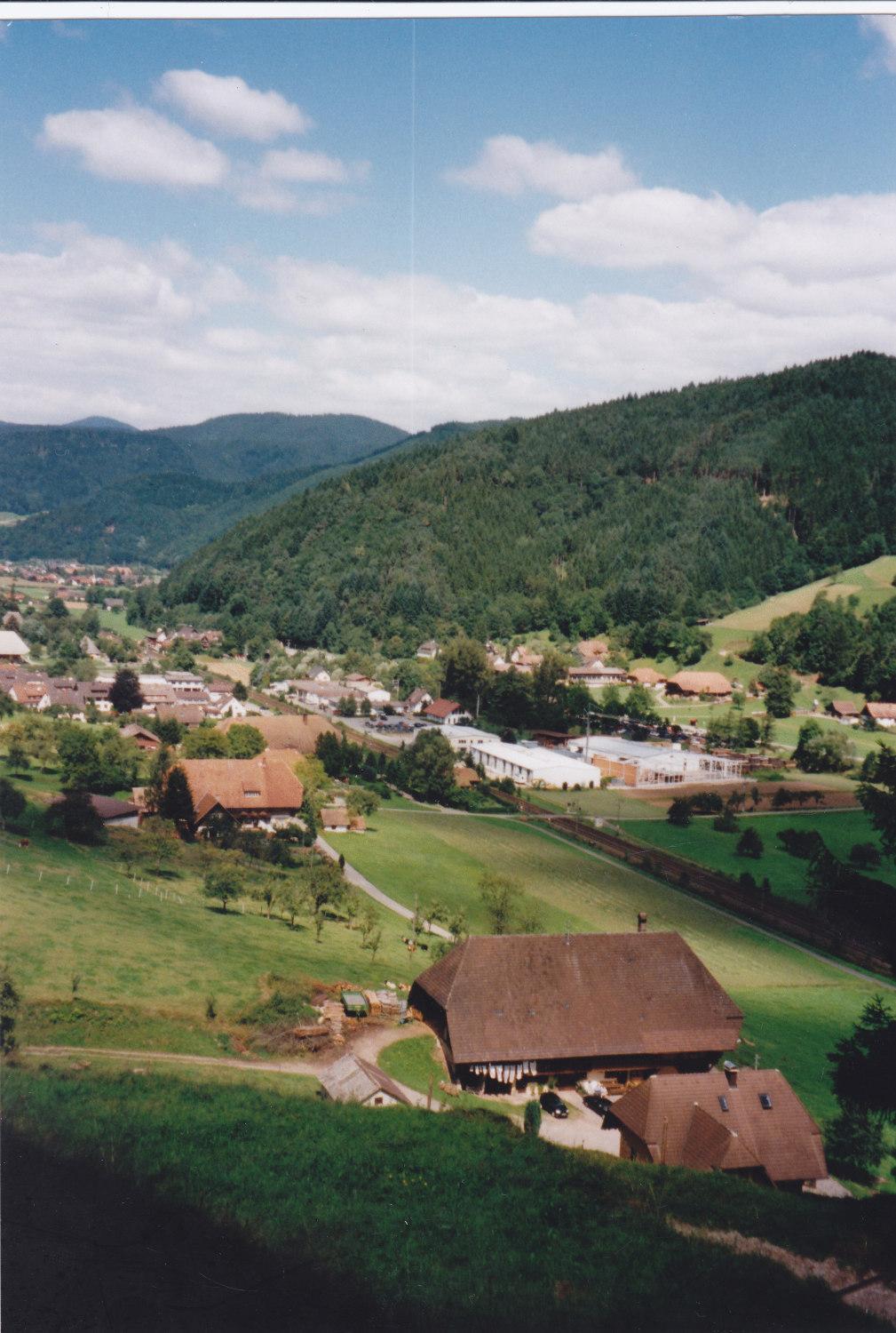 Hotel Wäldebauernhof Gutach Exterior foto